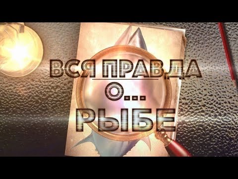 Видео: Вся правда о… рыбе