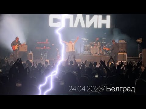 Видео: СПЛИН в Белграде! Потрясающий концерт 24.04.2023!