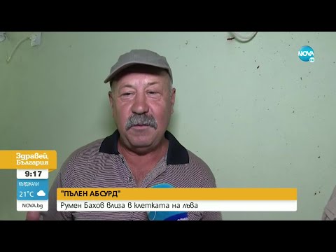 Видео: "Пълен абсурд": Какво е състоянието на лъва Хектор от зоопарка в Пазарджик?