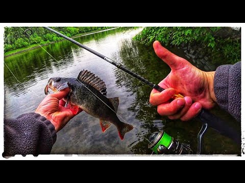 Видео: ЛОВЛЯ ОКУНЯ НА СПИННИНГ ВОБЛЕРАМИ!