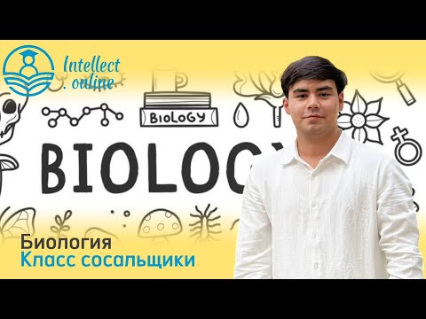 Видео: Биология | плоские черви
