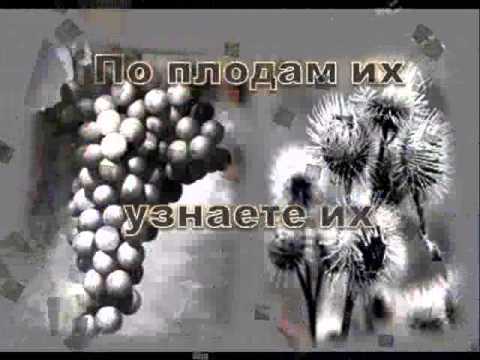 Видео: Пол Вошер. По плодам узнаете их...