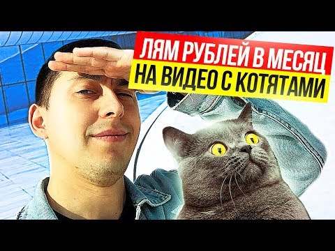 Видео: ГОДНАЯ ИДЕЯ ДЛЯ КАНАЛА. Как раскрутить канал на кошечках? Как заработать на Ютубе?