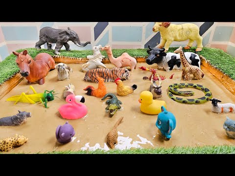 Видео: Грязное соревнование по чистке и обниманию лесных животных и друзей фермы!