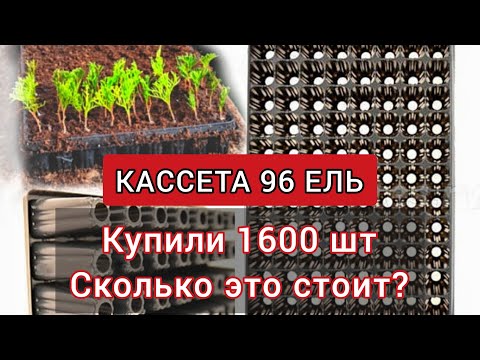 Видео: Питомник растений с нуля|Забрали 500 кг кассет для черенков|Обзор кассета 96 ель