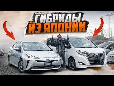 Видео: Гибриды из Японии. Санкционные авто - это недорого!