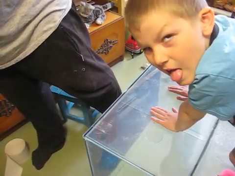 Видео: Ремонт аквариума, потекло дно.