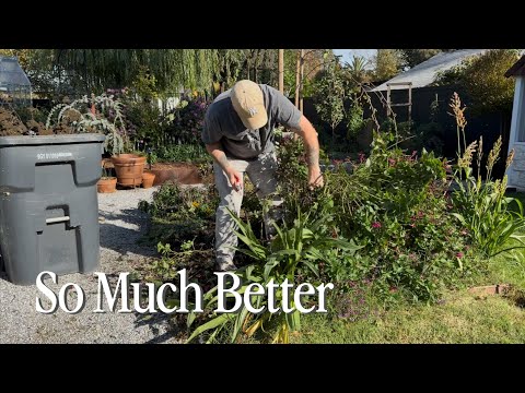 Видео: От беспорядка к чистому листу || Посетите наш сад