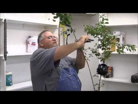 Видео: Распространение по воздуху