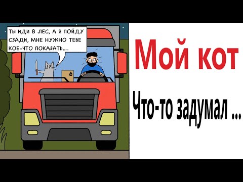 Видео: Приколы! Мемы! МОЙ КОТ ЧТО-ТО ЗАДУМАЛ! Смешные видео от Доми шоу!