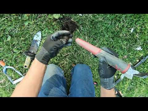 Видео: Minelab Manticore на заряженной стороне школы. Рай для охотников за монетами.