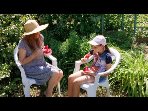 Видео: Старая дача - новая жизнь. Влог - дачные выходные.