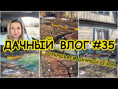Видео: 🏡 ДАЧНЫЙ ВЛОГ #35: ОТКРЫВАЕМ ДАЧНЫЙ СЕЗОН / ПЛАНЫ НА СЕЗОН / ПОСЛЕДСТВИЯ ЗИМЫ / ОБРЕЗКА ГОРТЕНЗИЙ