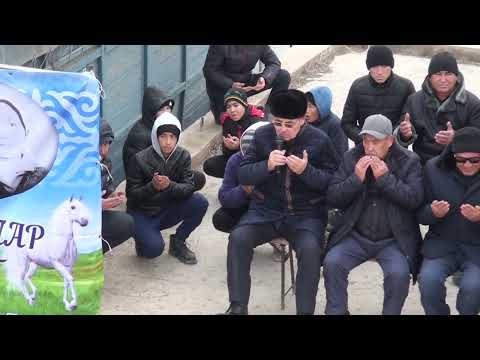 Видео: Шардара ауданы  Алдабековтар әулеті, Дәурен бауырымыздың елден бата алу кокпар тойы 24.12.23жыл