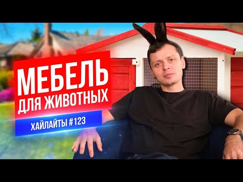 Видео: Мебель для животных | Виктор Комаров | Стендап Импровизация #123