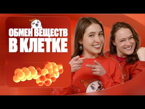 Видео: Обмен веществ в клетке | Вспомнить всё | ЕГЭ-2025 с Биологическим Тюленем