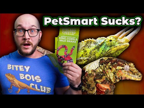 Видео: Эти руководства по уходу могут оказаться смертным приговором! Я злюсь, читая ужасные советы по ух...