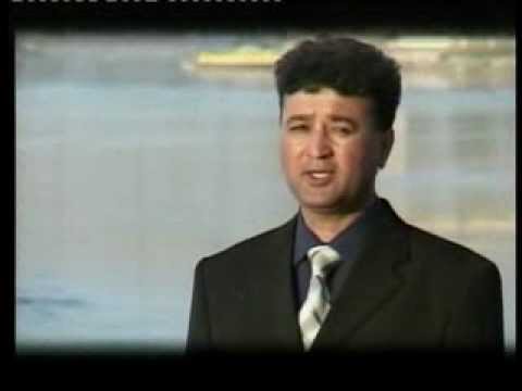 Видео: Нидо