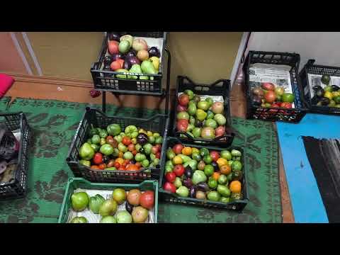 Видео: Подготовка к новому сезону 2026