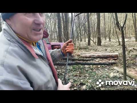 Видео: 24 апреля 2024 г.