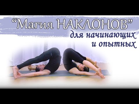 Видео: Магия наклонов | для начинающих и опытных | 40 минут | ЙогаБанда