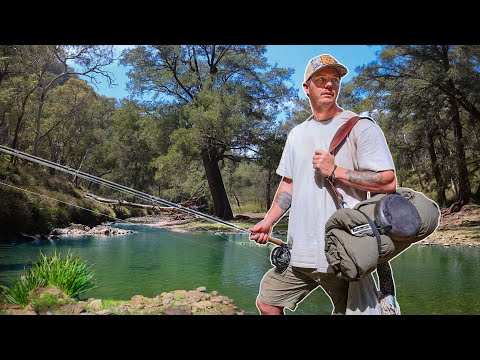 Видео: Кемпинг Swag (спальный мешок) и рыбалка нахлыстом в тихом горном ручье