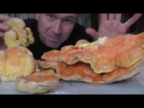 Видео: ТРУТОВИК СЕРНО ЖЁЛТЫЙ ВКУСОВЫЕ КАЧЕСТВА и КАК ЕГО ГОТОВИТЬ!