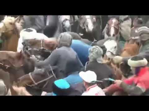 Видео: Толик Узбекстандада Толик. Қазақ екен деп аттың басын устамаңыздар Узбек агайындар