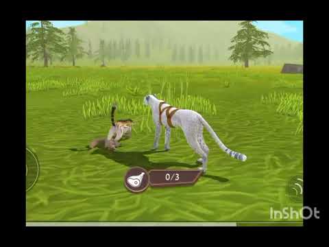 Видео: Мини фильм Wildcraft "История Звёздочки" 2 серия