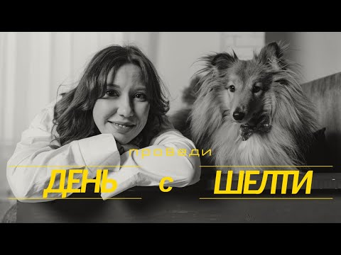 Видео: Типичный день с СОБАКОЙ  !   Режим, прогулки и игры с ШЕЛТИ