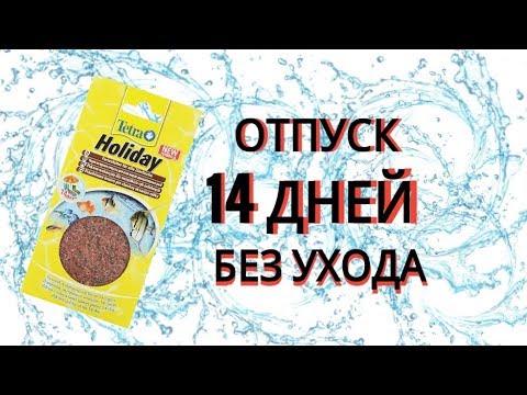 Видео: 14 дней на корме Tetra Holiday.