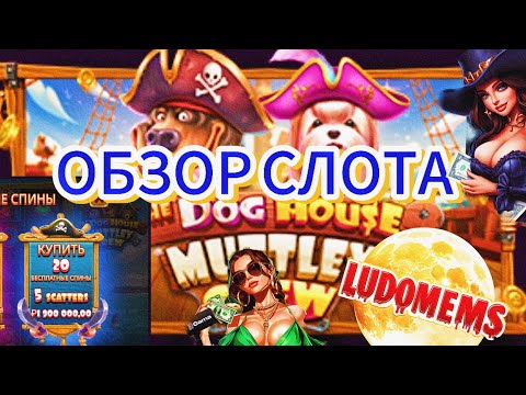 Видео: ОБЗОРР НОВОГО СЛОТАА(Dogg house Multtew crew) #занос #slot #удача #слоты