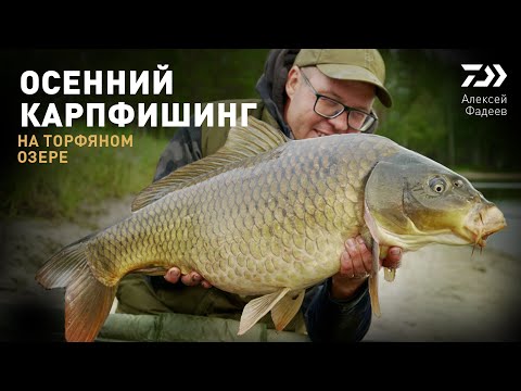 Видео: ОСЕННИЙ КАРПФИШИНГ НА ТОРФЯНОМ ОЗЕРЕ х АЛЕКСЕЙ ФАДЕЕВ