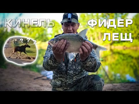 Видео: Рыбалка на течении. Река Большой Кинель. Фидер
