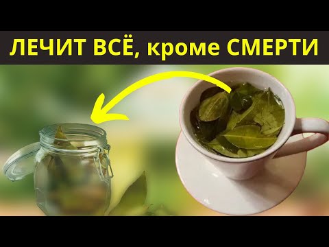 Видео: ЧАЙ, который бросает вызов смерти: лечит более 200 болезней и даже.....