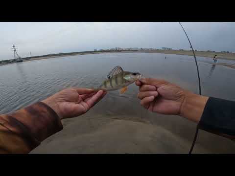 Видео: АРДАХ БЫЫhЫГАР БАЛЫКТААhЫН🎣