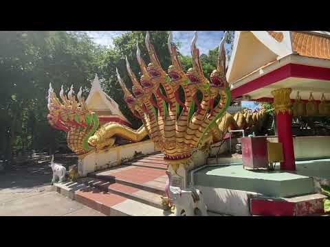 Видео: Самый последний день.  Будда.