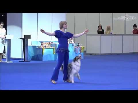 Видео: Шинкаревич Любовь и Твист Мастер Фри