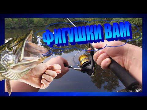 Видео: КАК Я ЛОВИЛ ЩУКУ. Ловля щуки на спиннинг. рыбалка в Германии