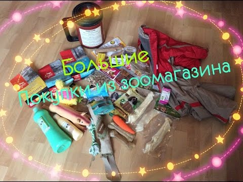 Видео: Большие покупки из зоомагазина