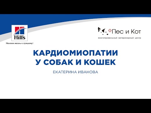 Видео: Вебинар на тему: "Первичные и вторичные кардиомиопатии у собак и кошек". Лектор - Екатерина Иванова.