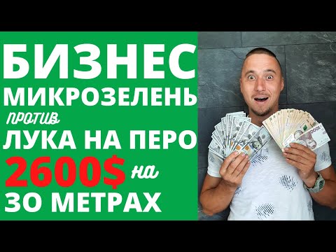 Видео: Бизнес с минимальными вложениями. Выращивание микрозелень. Лук на перо или шампиньоны.