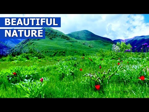 Видео: Табиати Зебои Тоҷикобод / beautiful nature of Tajikistan