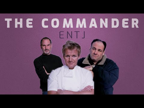 Видео: 7 признаков того, что вы относитесь к типу личности ENTJ