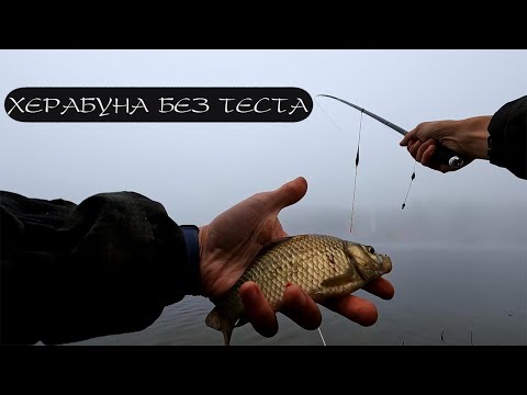 Видео: ХЕРАБУНА БЕЗ КИТАЙСКОГО ТЕСТА! Легко и доступно.