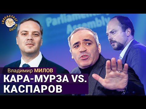 Видео: Владимир Милов: "Заткните своего мальчика". Ссора Кара-Мурзы и Каспарова