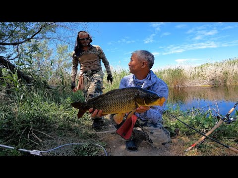 Видео: ВОТ ЭТО РЫБАЛКА !!! ПОКЛЁВКА за ПОКЛЁВКОЙ САЗАНА. РЫБАЛКА на ДОНКУ.