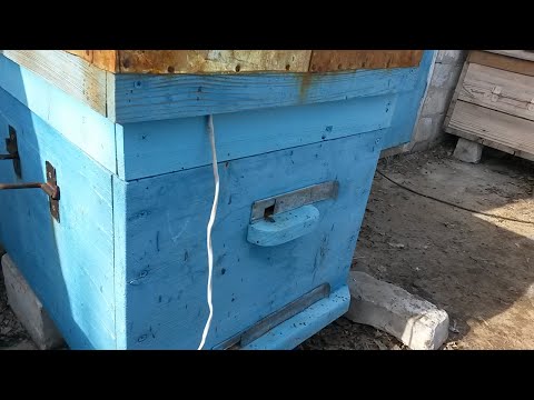 Видео: Установил обогрев пчелам/Помощь пчелам весной.