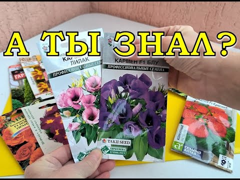 Видео: ЭТИ ЦВЕТЫ можно посеять на рассаду сейчас🌻🌻🌻