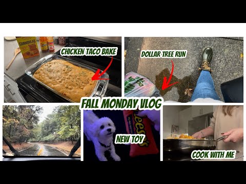 Видео: ВЛОГ ОСЕННЕГО ПОНЕДЕЛЬНИКА | ГОТОВЬТЕ СО МНОЙ | ЗАПЕКАЙТЕ ТАКО С КУРИЦЕЙ | НЕБОЛЬШОЙ УЛОВ НА ДОЛЛ...